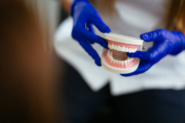 Professional  Holistic Dental Services in Balch Springs, TX